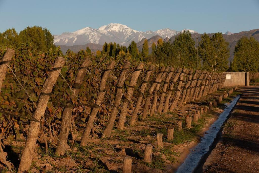 Bodega Durigutti Family Winemakers Villa Las Compuertas Kültér fotó